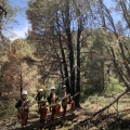 How Community Organizations in Las Vegas Nevada are Making a Difference in Conservation and Restoration
