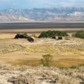 Protecting and Restoring Natural Habitats and Ecosystems in Las Vegas