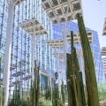 Becoming Environmentally Conscious in Las Vegas, Nevada