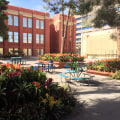 Teaching Students About Environmental Issues and Sustainability in Las Vegas, Nevada