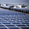 The Benefits of Environmental Literacy in Las Vegas, Nevada