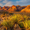 Is Las Vegas Built in the Middle of a Desert?
