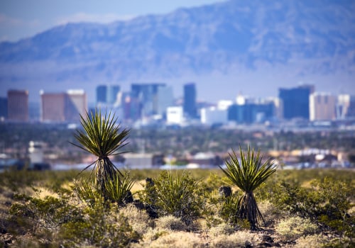 Protecting the Environment in Las Vegas: What You Can Do