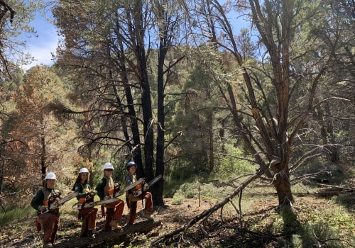 How Community Organizations in Las Vegas Nevada are Making a Difference in Conservation and Restoration