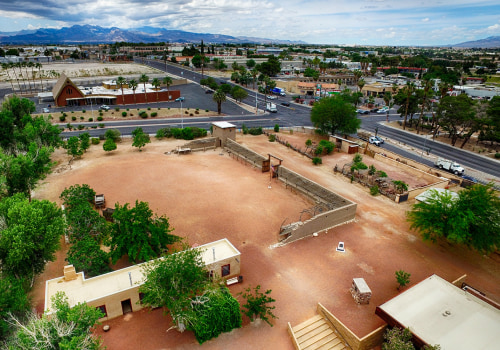 Conservation and Restoration Efforts in Las Vegas: A Guide for Educators