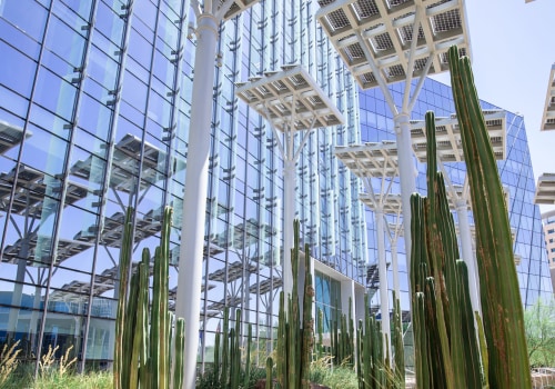 Environmental Literacy in Las Vegas: Strategies for Success