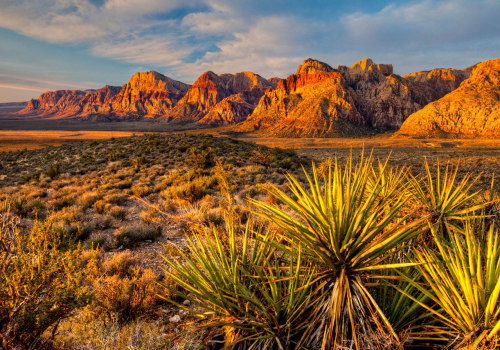 Is Las Vegas Built in the Middle of a Desert?